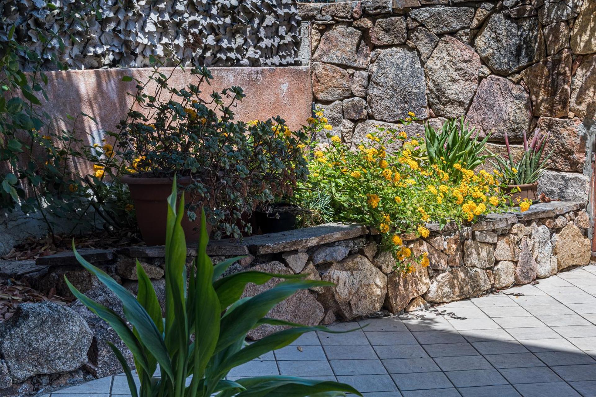 B&B Il Corbezzolo Posada  Bagian luar foto